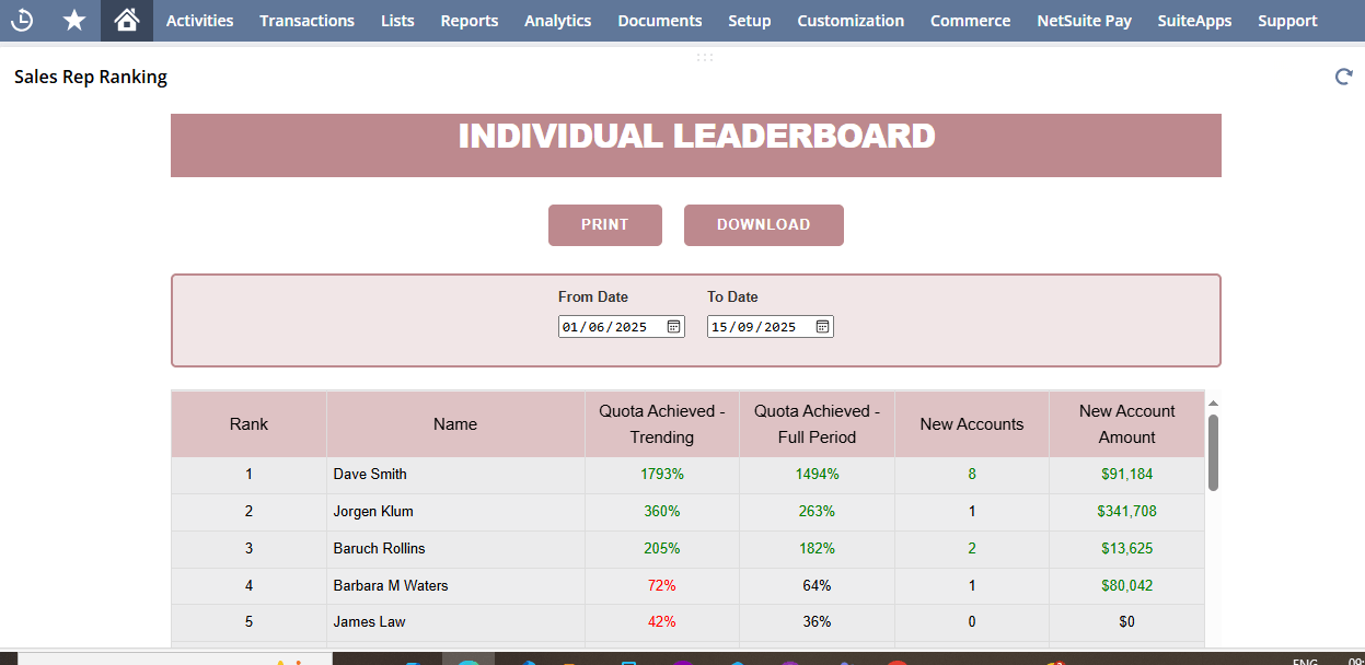 Individual Sales Leaderboard
